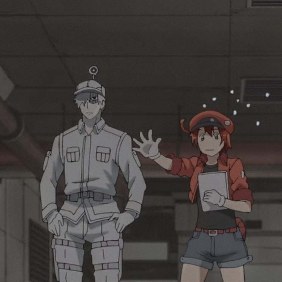 Cells At Work!: The reason you’re living